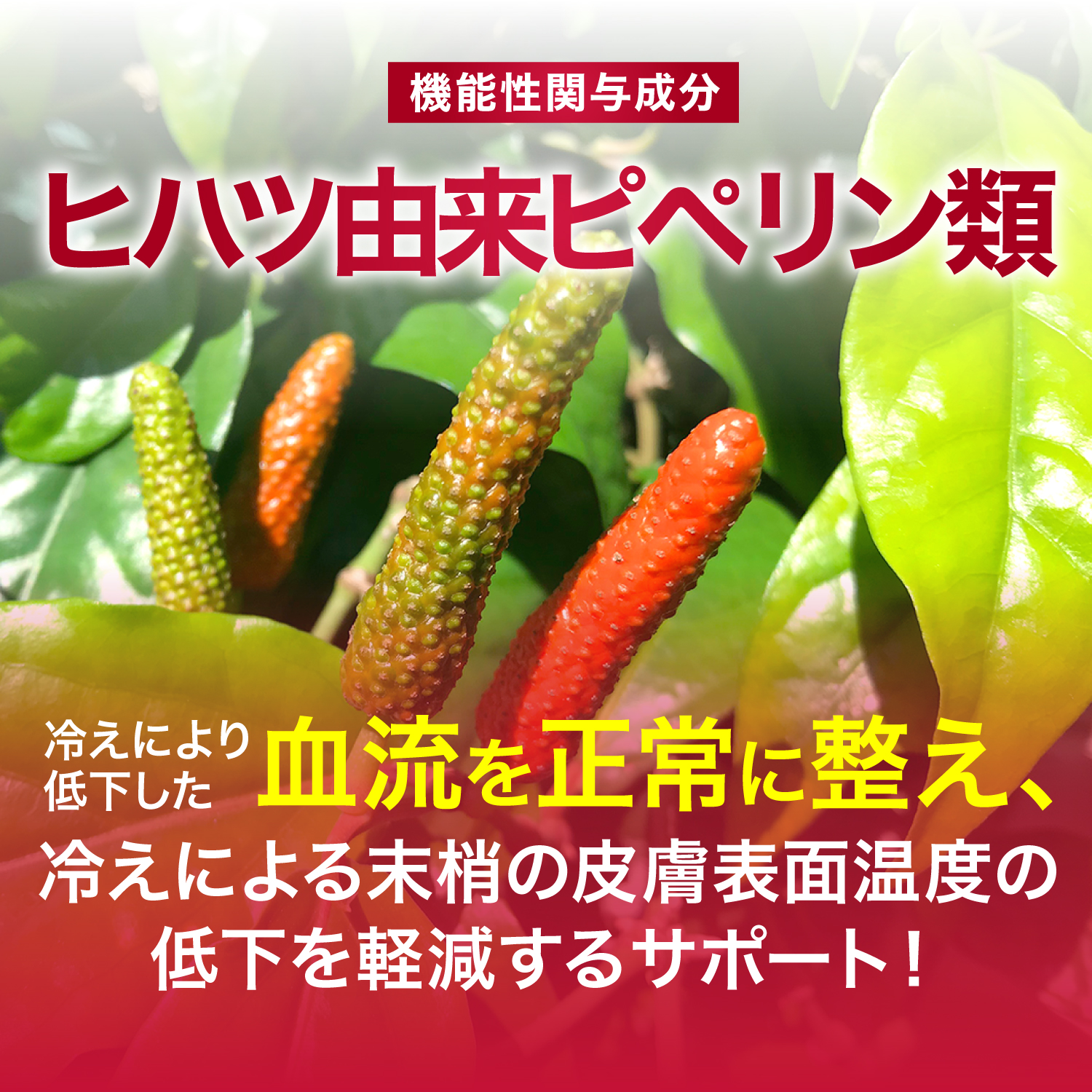 血圧 サプリ