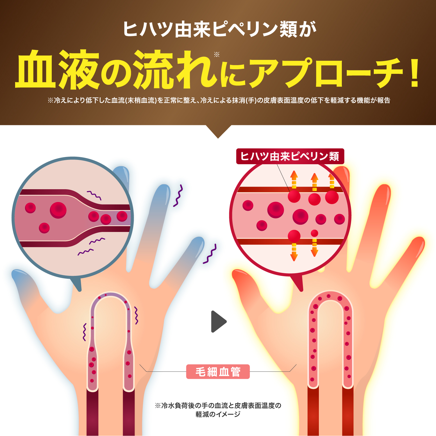 血圧 サプリ