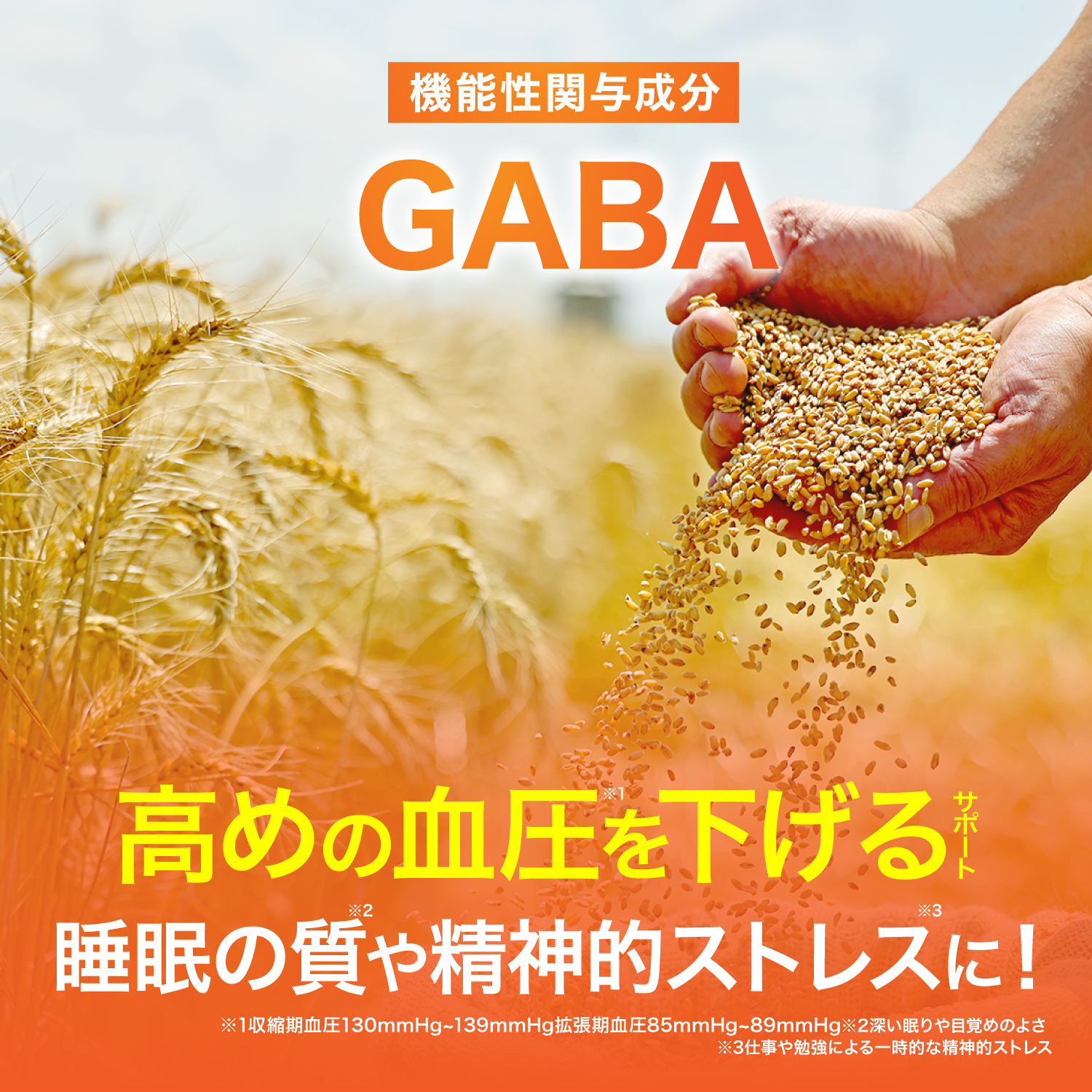 血圧 サプリ