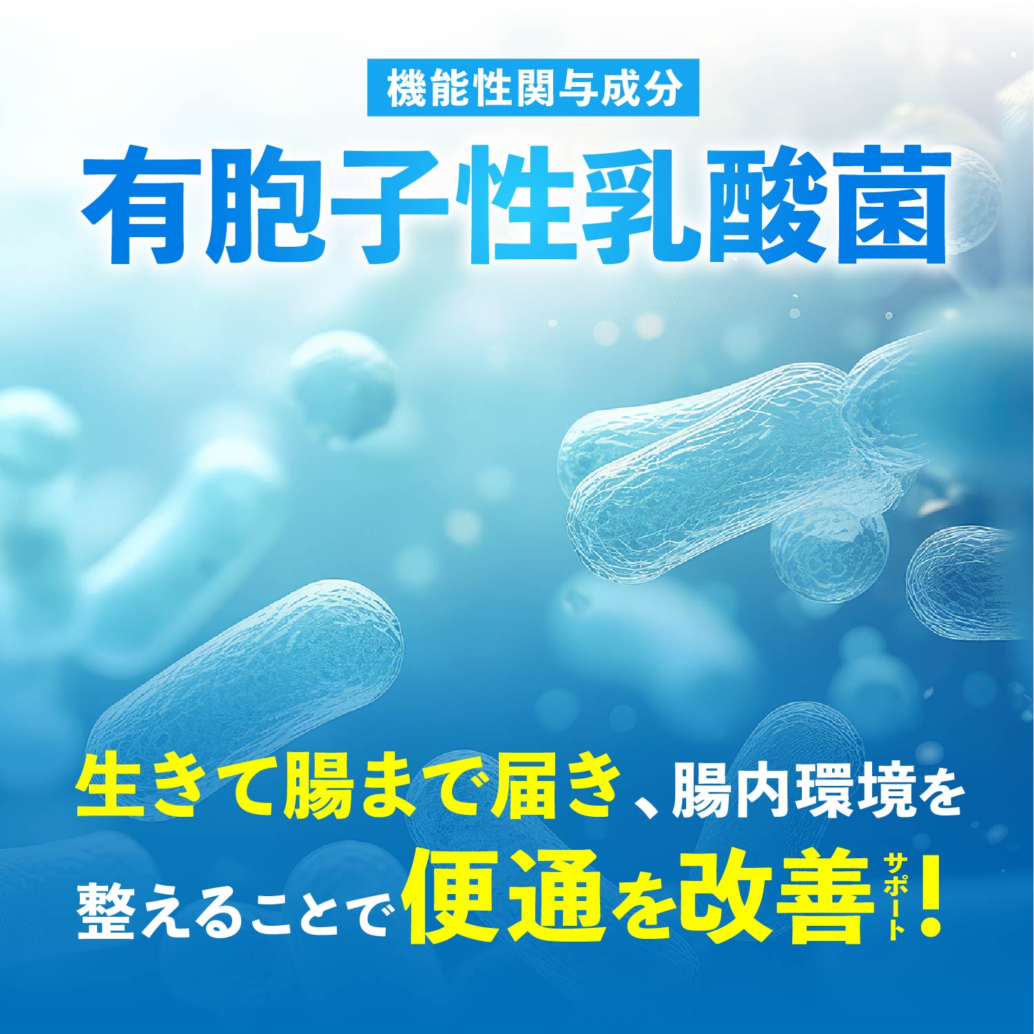 便通改善サプリ