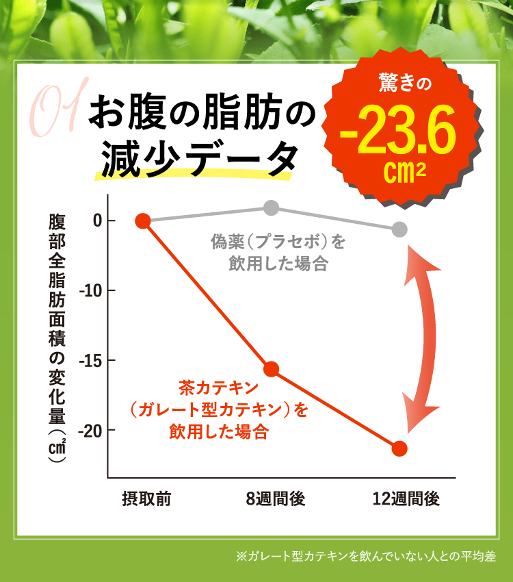 ダイエット サプリ