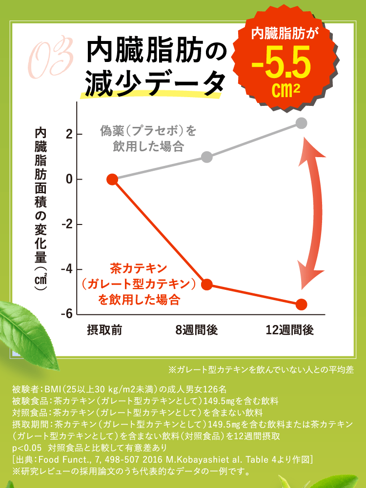 ダイエット サプリ