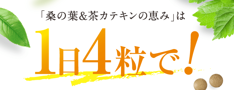 ダイエット サプリ