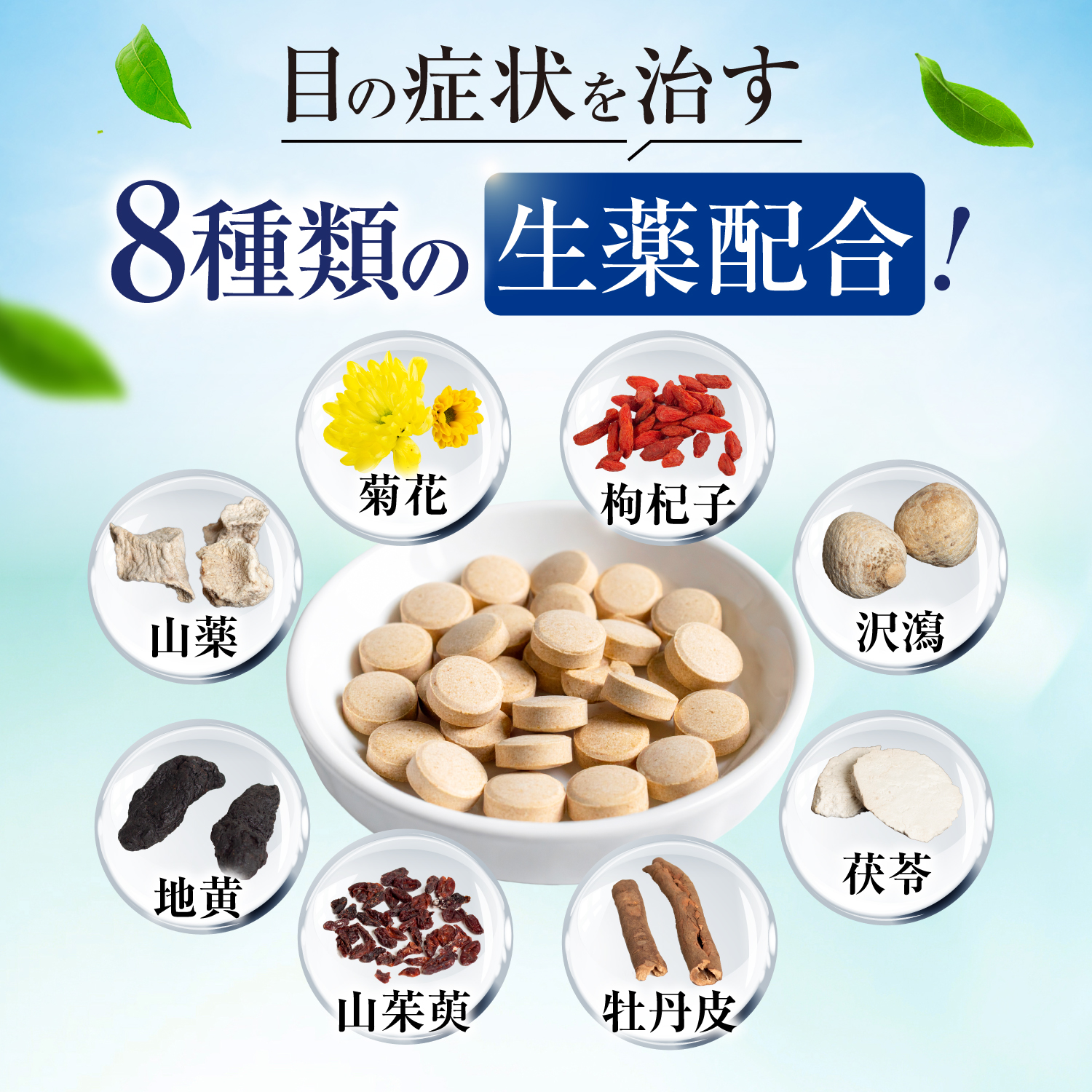 和漢の森 【第2類医薬品】 澄明錠 杞菊地黄丸 視力低下 老眼 疲れ目