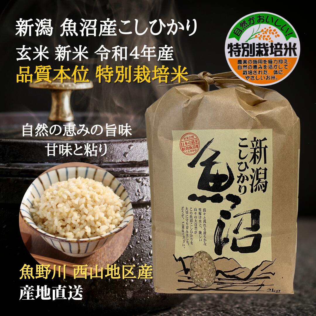 格安店 玄米ご飯で風邪をひかない 玄米10kg ４年産コシヒカリ 特栽①