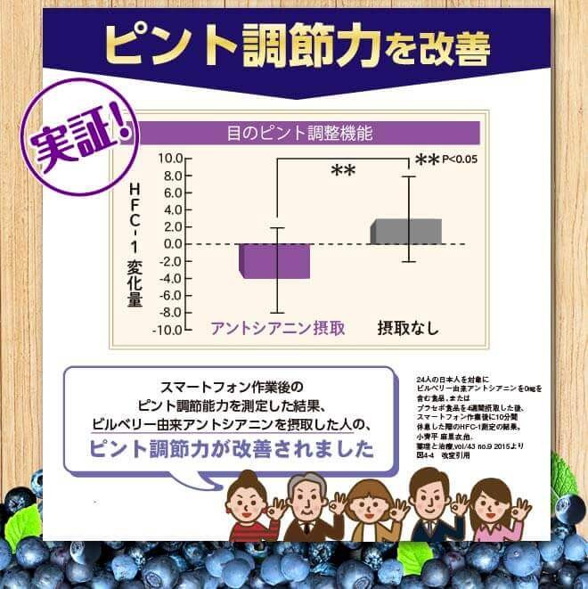 わかさ生活 【公式】わかさ生活 ブルーベリーアイ PRO(プロ) 1袋