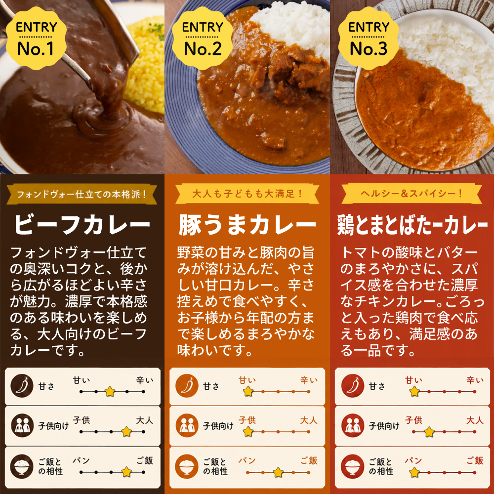 博多若杉 カレーアソートセット