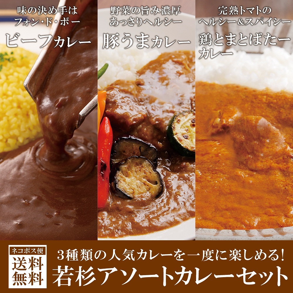 博多若杉 カレーアソートセット
