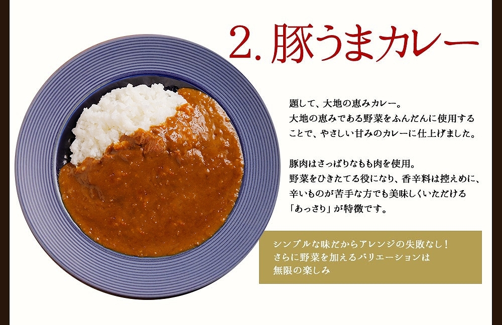 博多若杉 カレーアソートセット