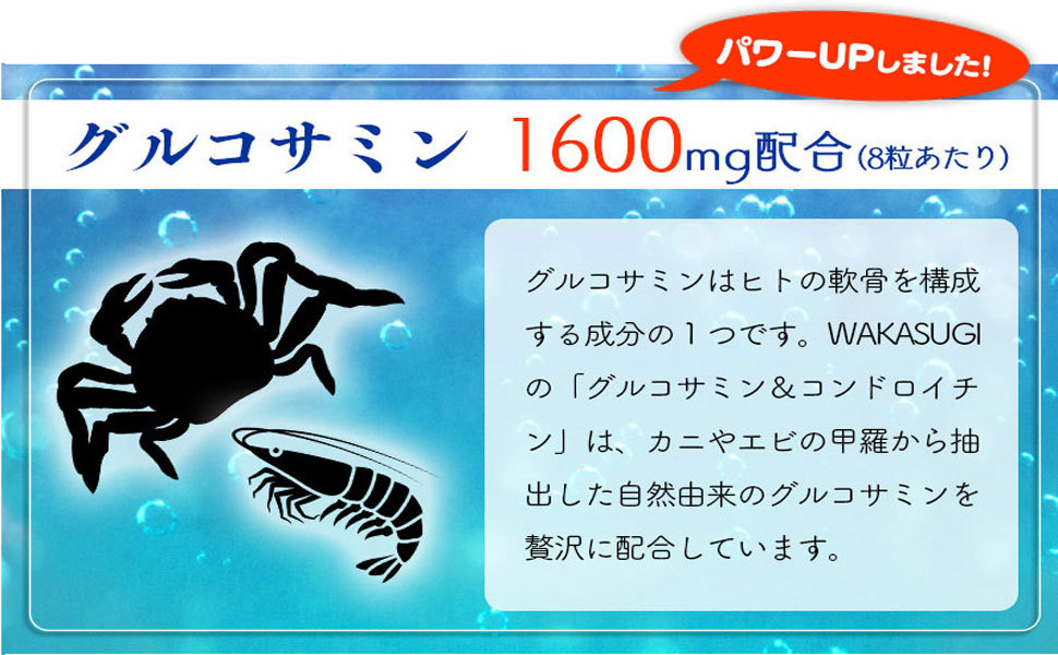 プロテオグリカン新配合 グルコサミン＆コンドロイチン60粒 3袋セット計180粒 :gulucosamin03:サプリメント健康雑貨のお店若杉 -  通販 - Yahoo!ショッピング