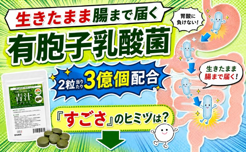 乳酸菌青汁