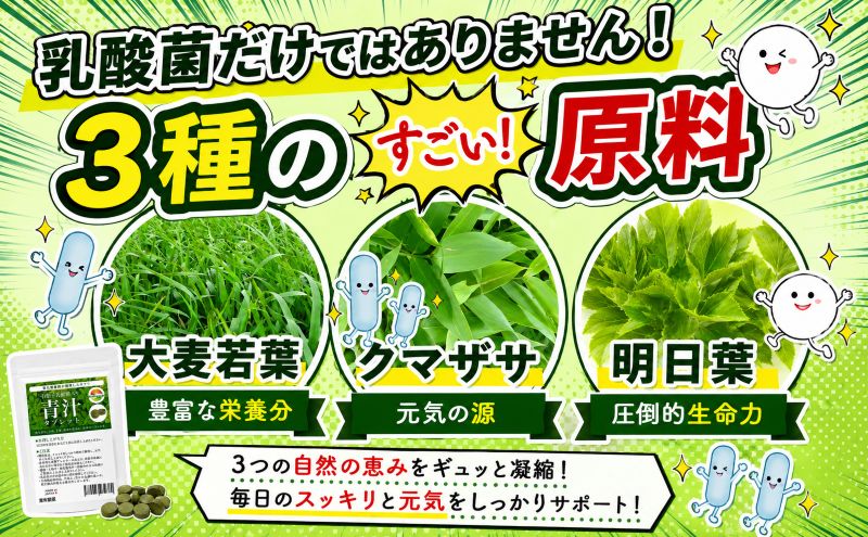 乳酸菌青汁