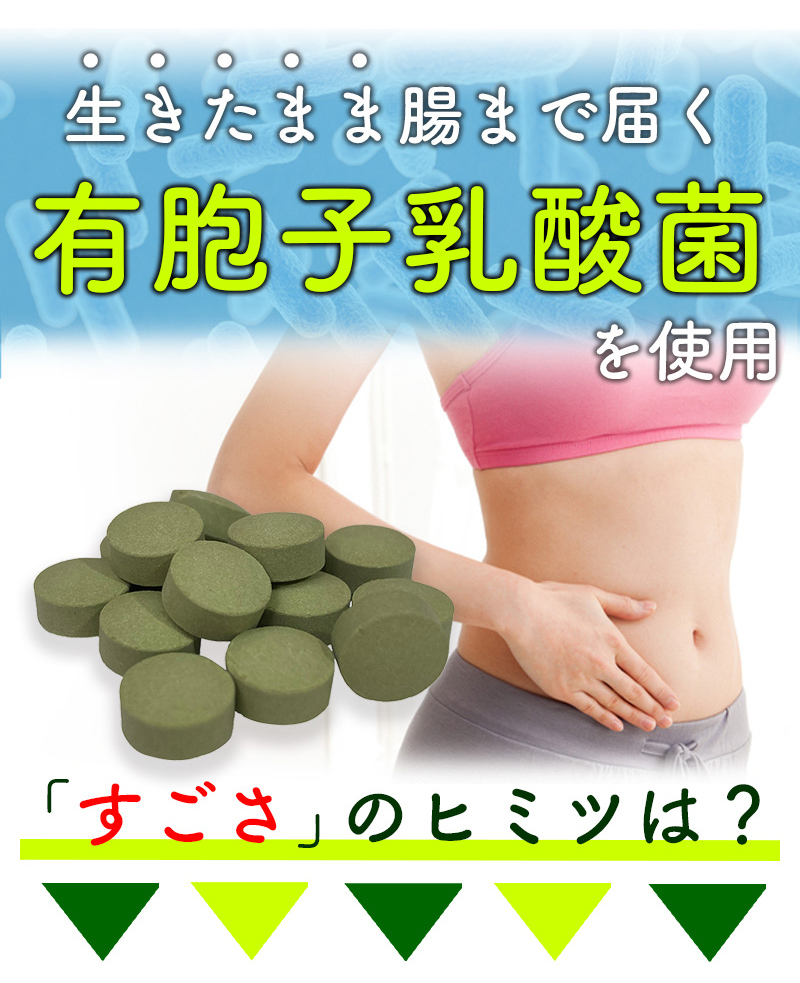 乳酸菌青汁