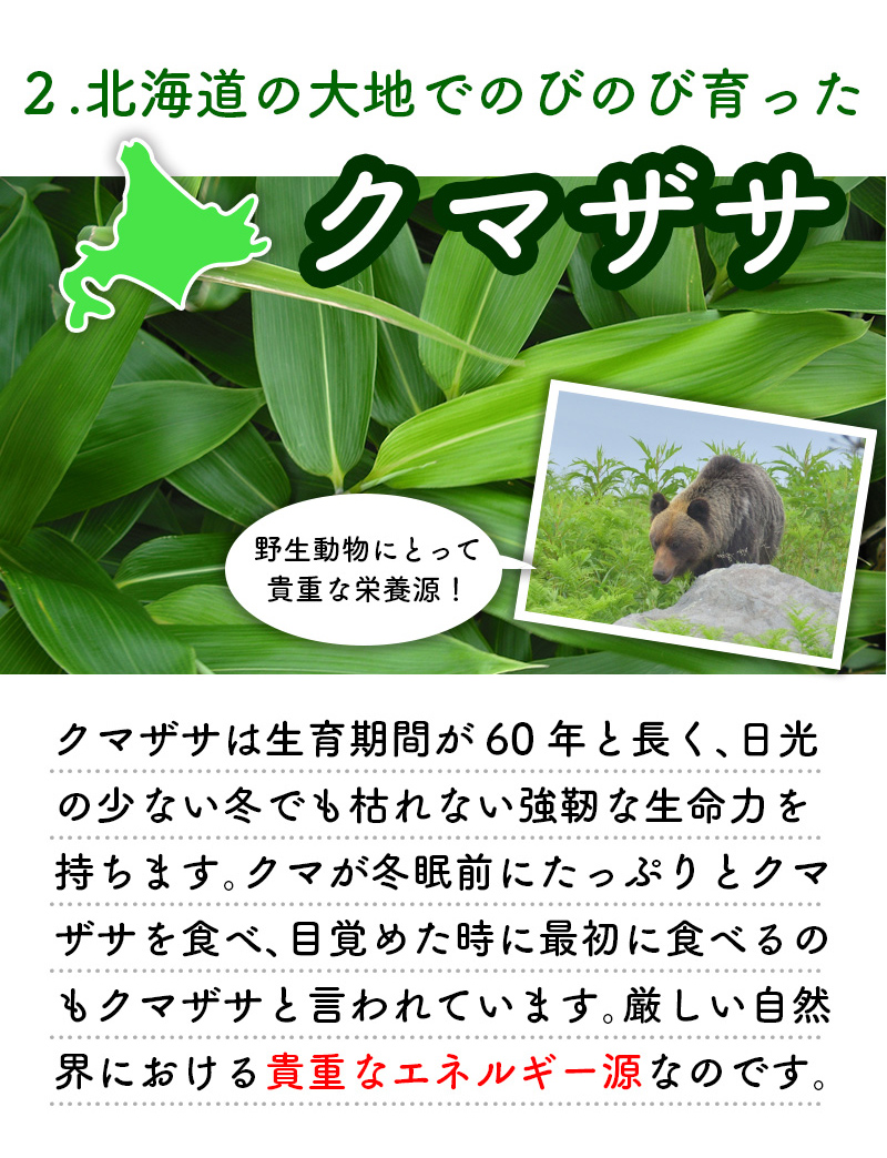 乳酸菌青汁