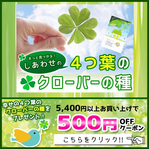 サプリメント健康雑貨のお店若杉の「5400円以上お買い上げで500円OFFクーポン」のクーポン