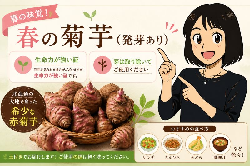 菊芋