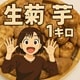 菊芋1K
