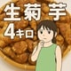 菊芋4K