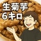 菊芋6K
