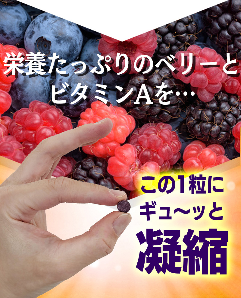 ビルベリールテイン