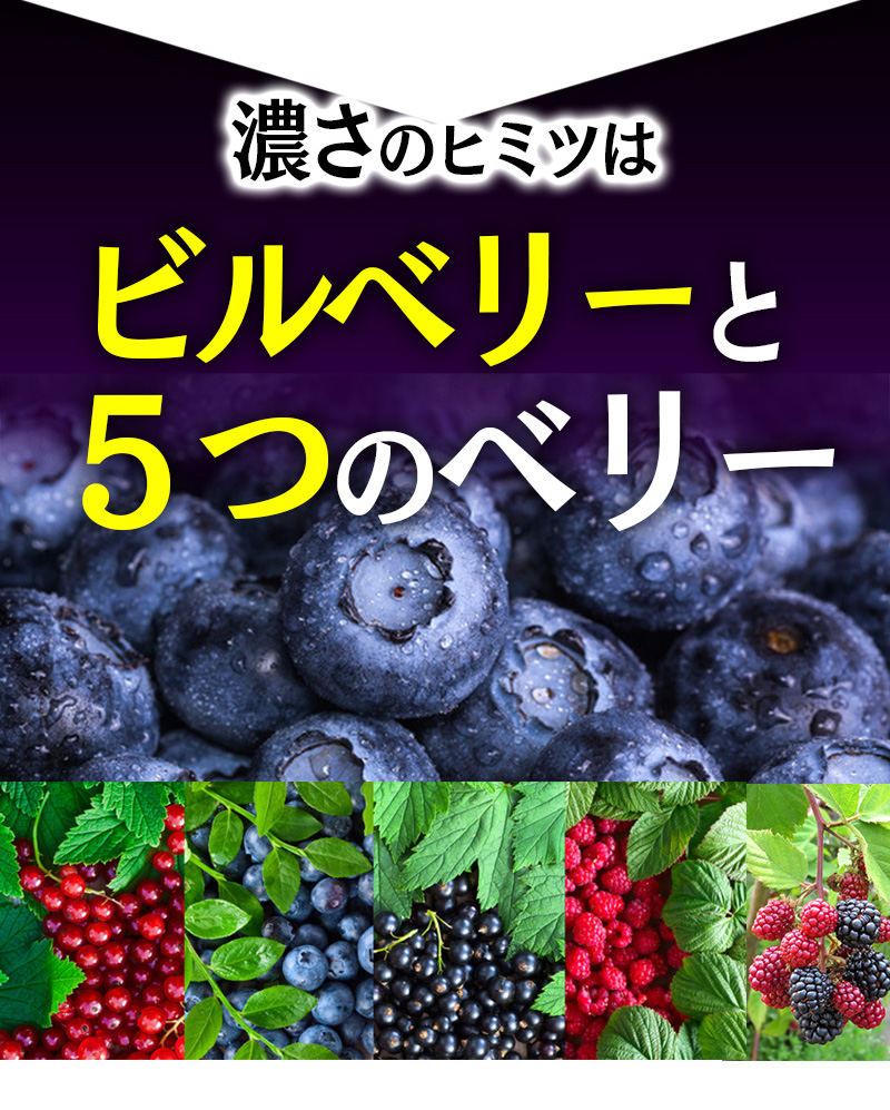 ビルベリールテイン