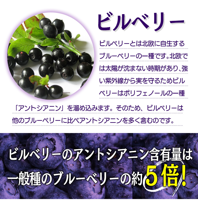 ビルベリールテイン