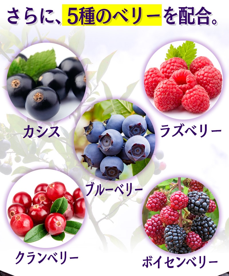 ビルベリールテイン