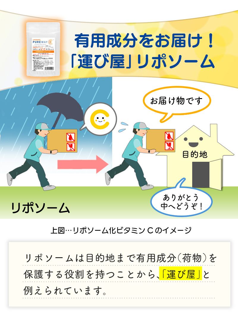リポソーム