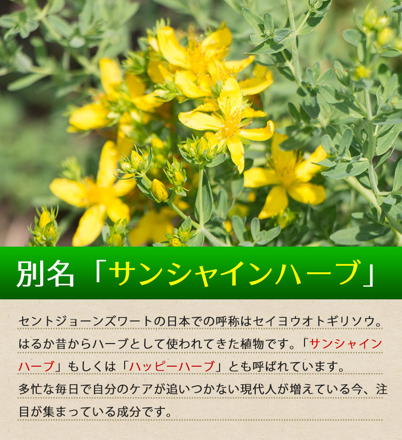 セントジョーンズワート