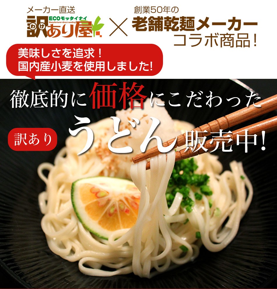 大量 乾麺うどん 9Kg(450g×20袋) 国産小麦粉使用 激安 期限270日保障