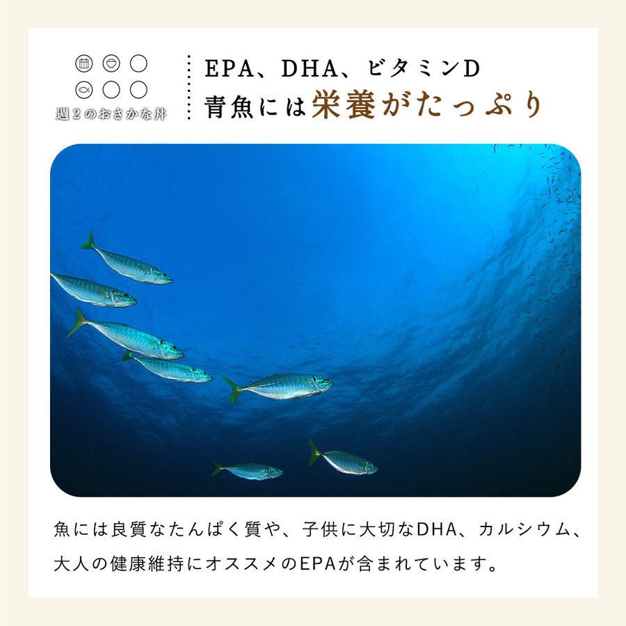 10％OFF レトルト魚総菜 おさかな丼 8食セット 詰め合わせ 時短惣菜 魚 福袋 食品 海鮮 さかな グルメ TSG highart.com.eg