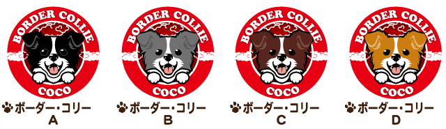 ボーダーコリー