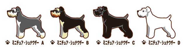 ミニチュアシュナウザー