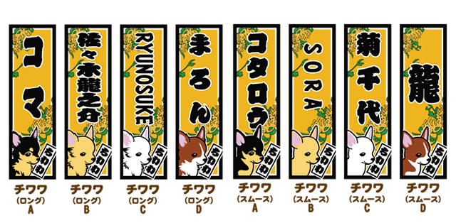 チワワ