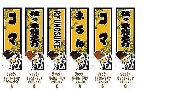 コーギー