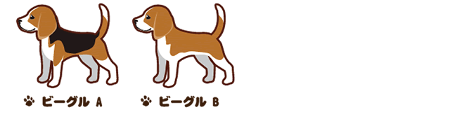 ビーグル