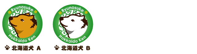 北海道犬