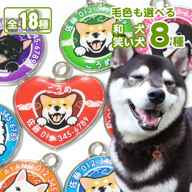 迷子札 笑い犬（和犬）