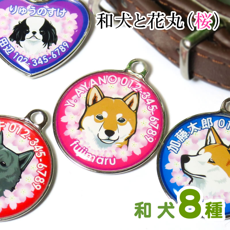 迷子札 和犬と花丸 桜
