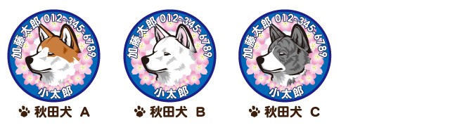 秋田犬
