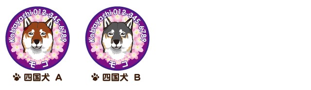 四国犬