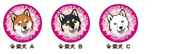 柴犬