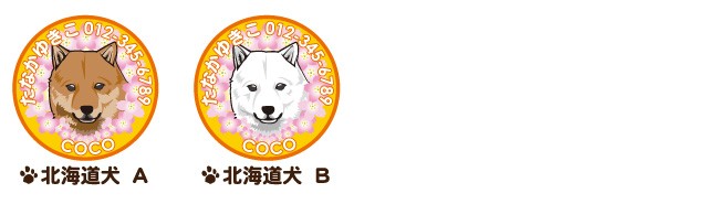 北海道犬