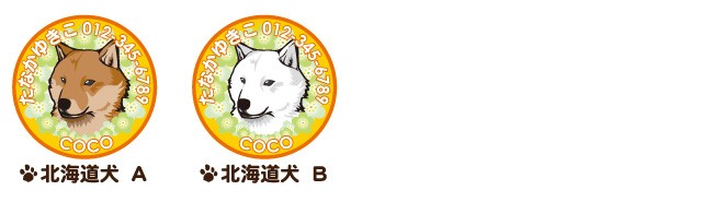 北海道犬