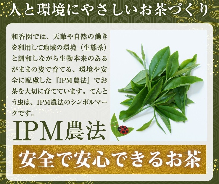 粉末茶　あらびき茶　鹿児島　粉茶