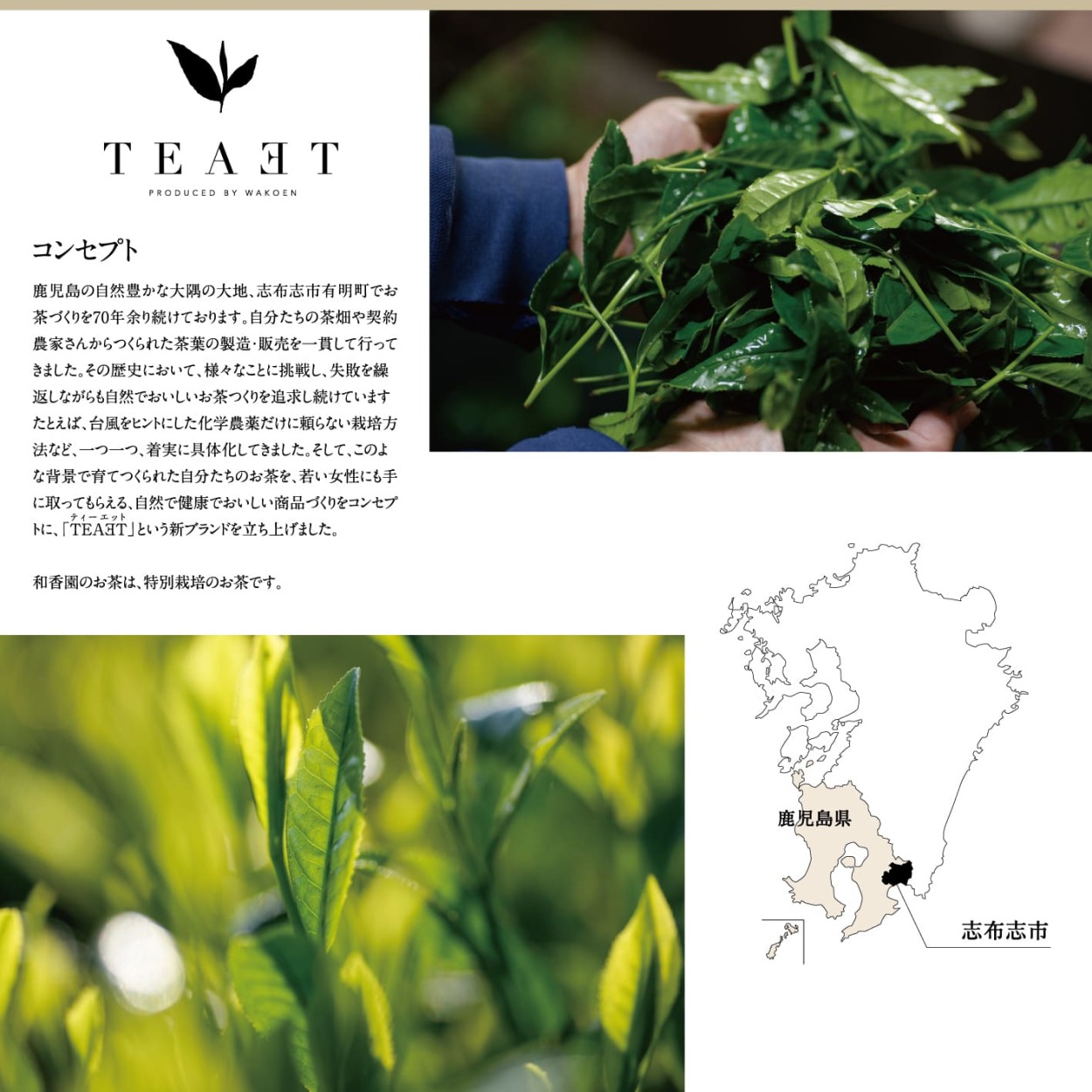 鹿児島　TEAET　ティーエット