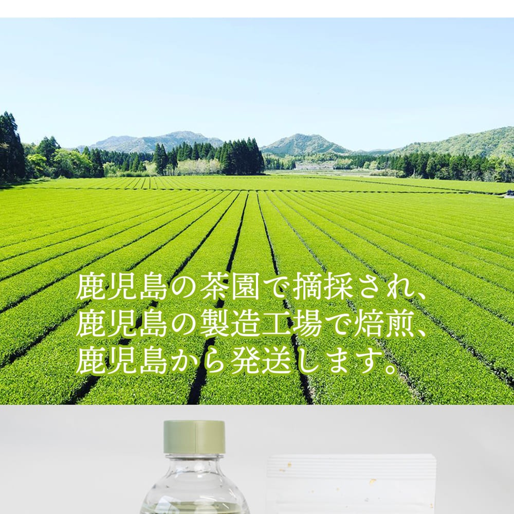 棒茶　ティーバッグ　ほうじ茶　鹿児島　焙煎