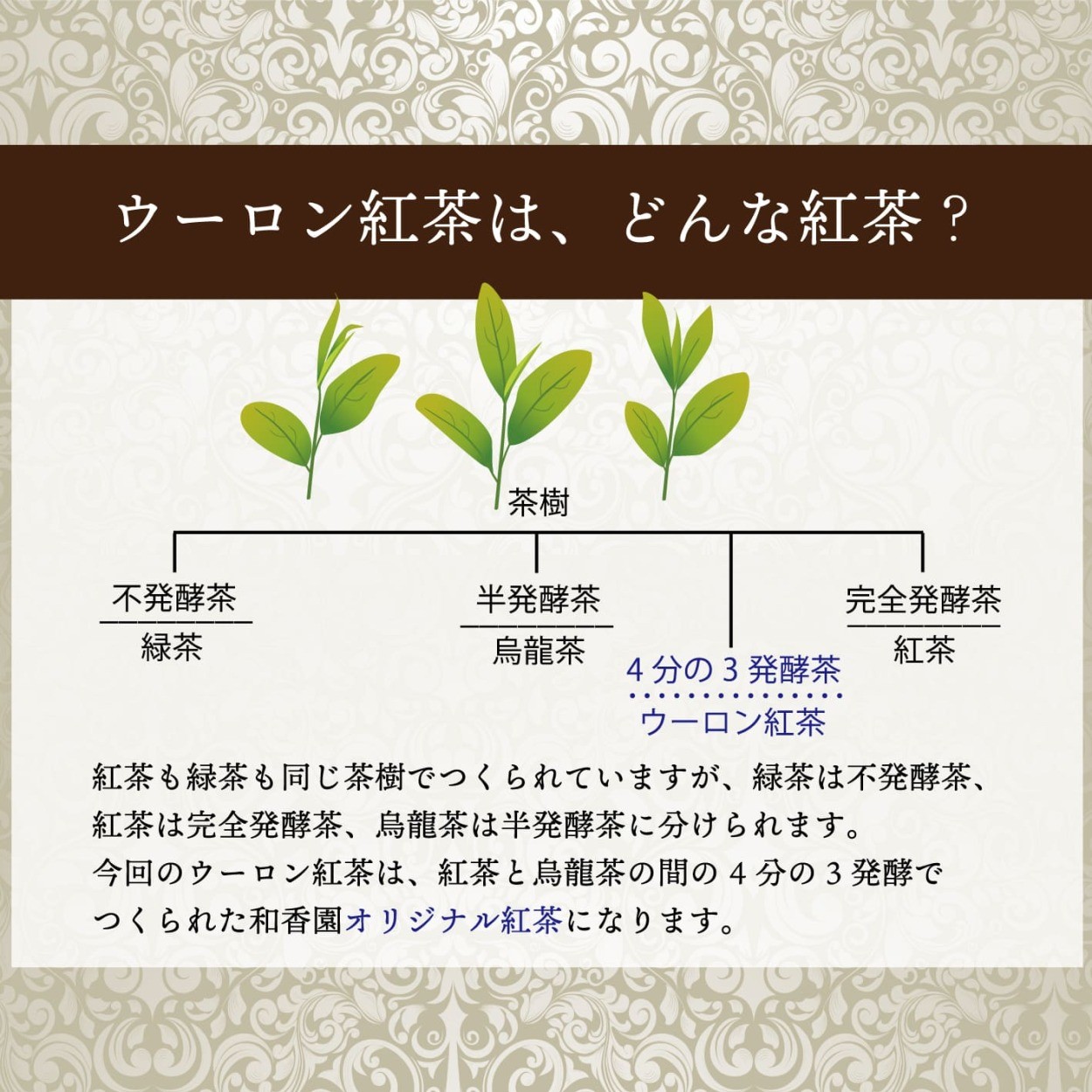 紅茶　茶葉　鹿児島