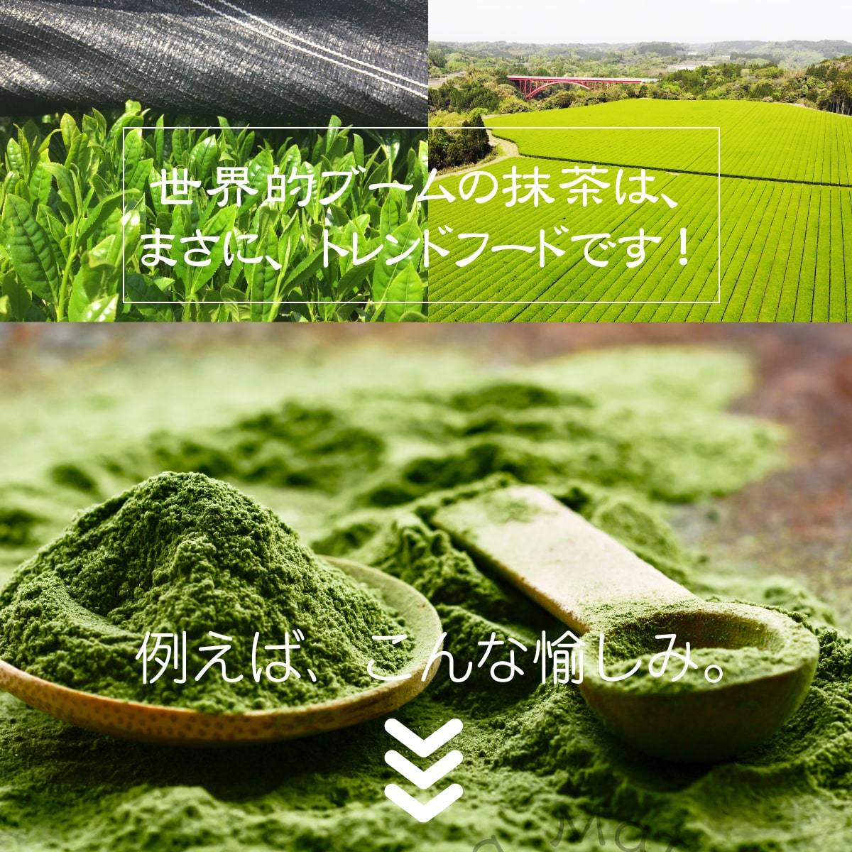 粉末茶　あらびき茶　鹿児島　粉茶