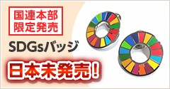 国連本部限定発売SDGsバッジ　日本未発売！